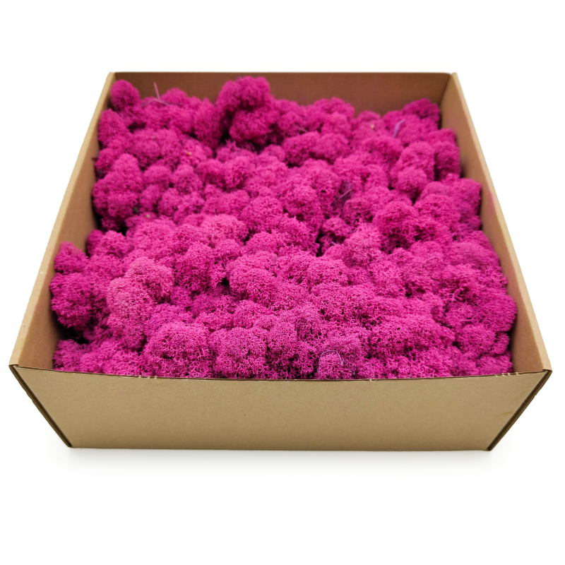 Fuksja zblizenie 2.png