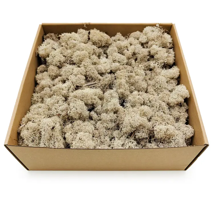 Naturalny zblizenie 2.png