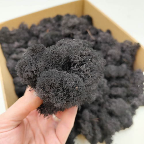 Czarny zblizenie.png