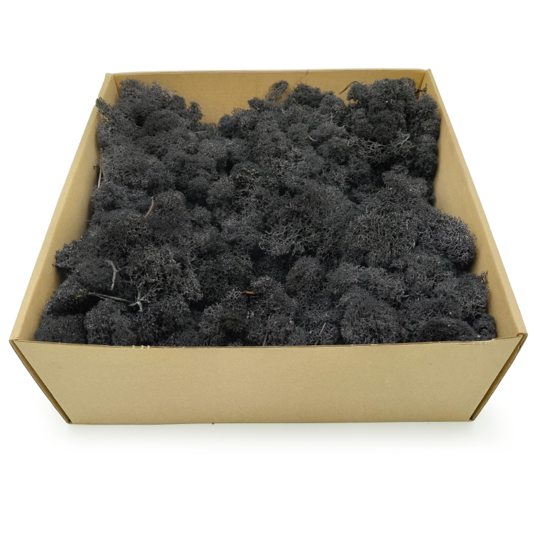 Czarny zblizenie 1.png