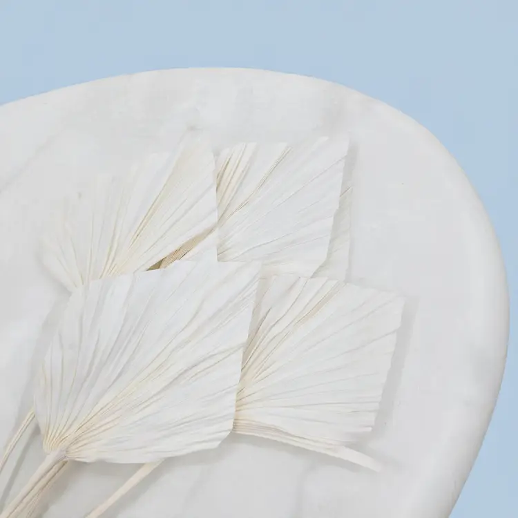 Palm spear Bielony 2.png