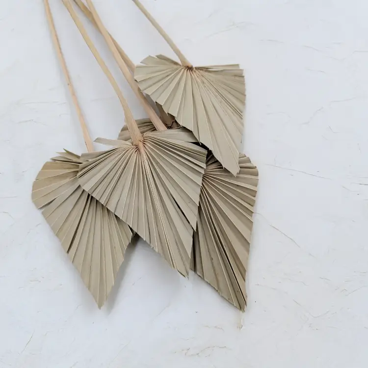 Palm spear Naturalny 1.png