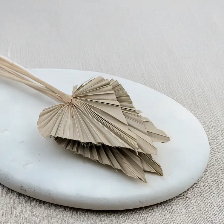 Palm spear Naturalny 3.png