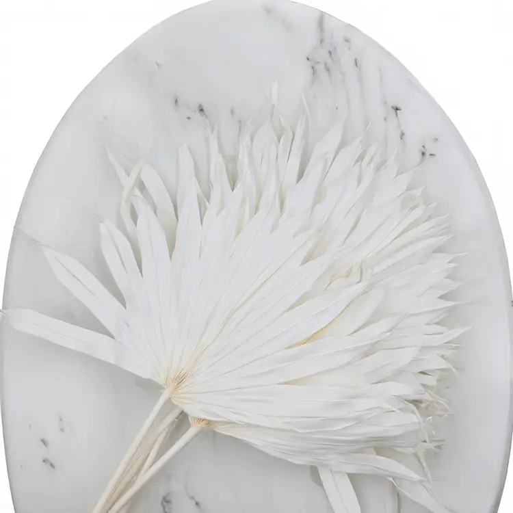 Palm sun bielony 2.png