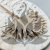 Palm sun naturalny 2.png