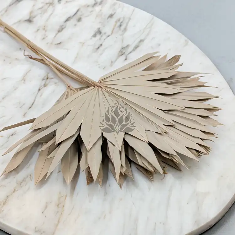 Palm sun naturalny 2.png