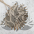 Palm sun naturalny.png