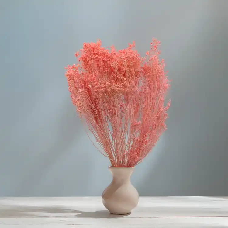 Broom Bloom Łosoś 3.png