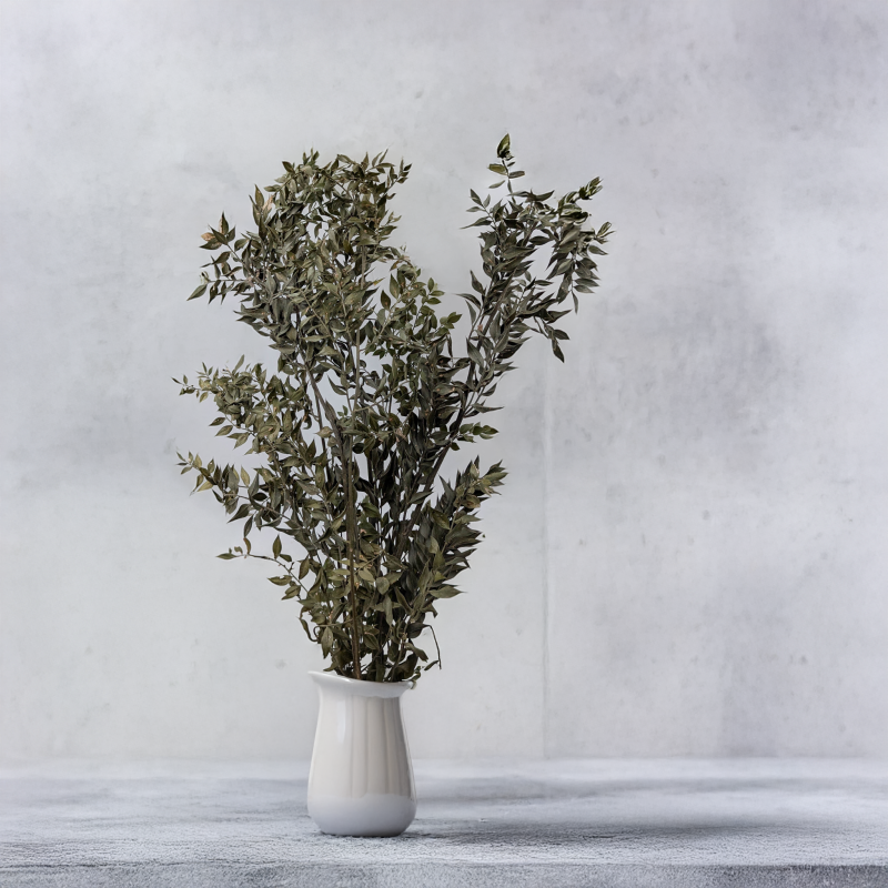 Ruskus suszony naturalny 100g 4.png