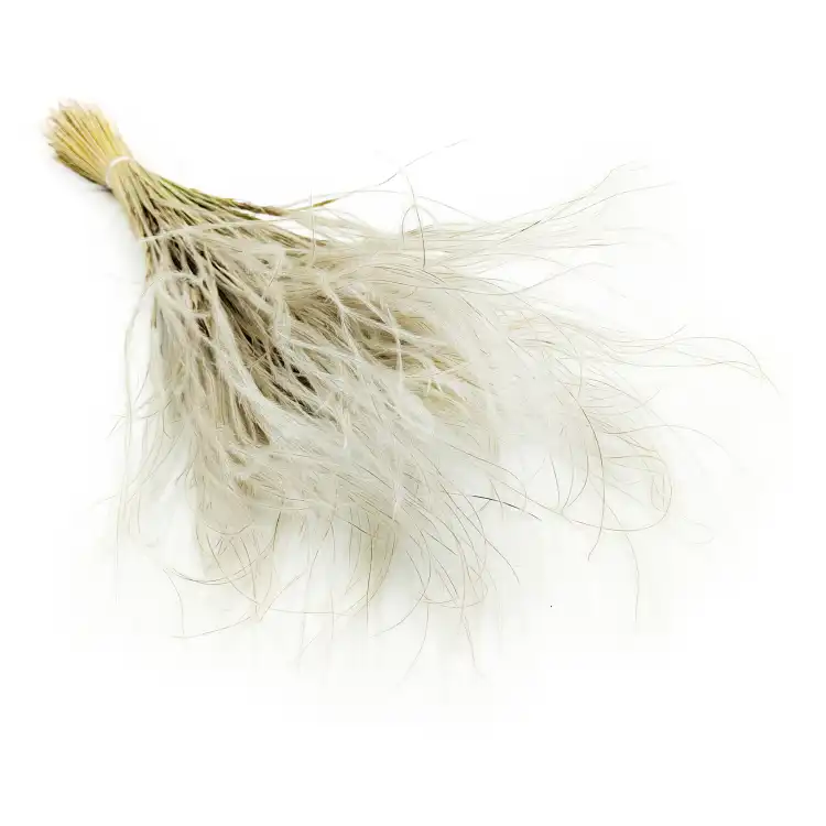 Stipa naturalna.png