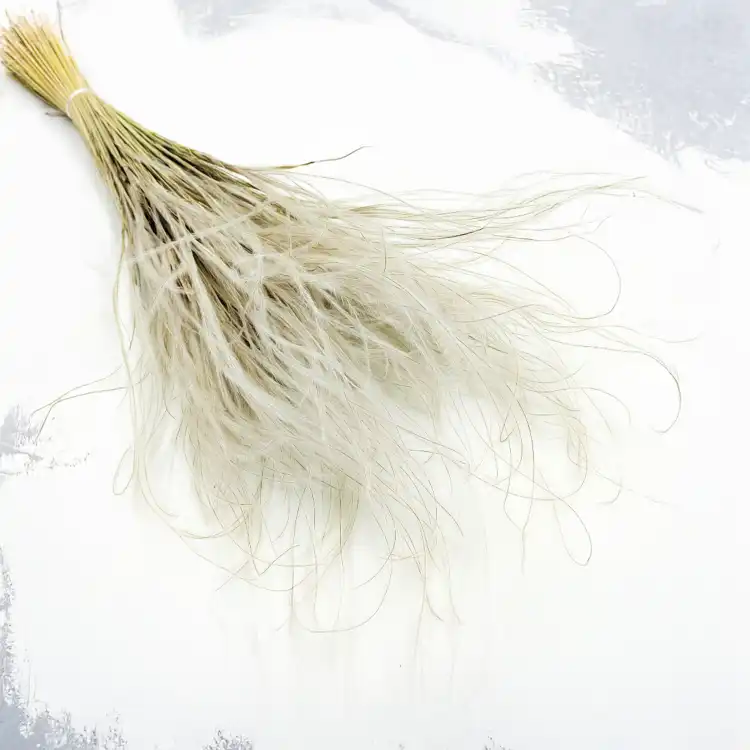 Stipa naturalna.png