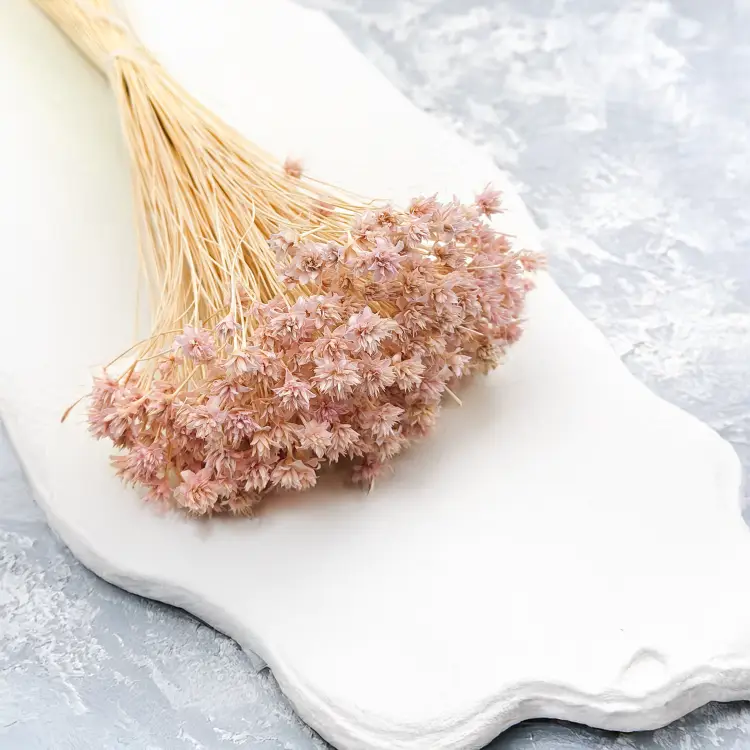 Hill Flower Lila 2.png