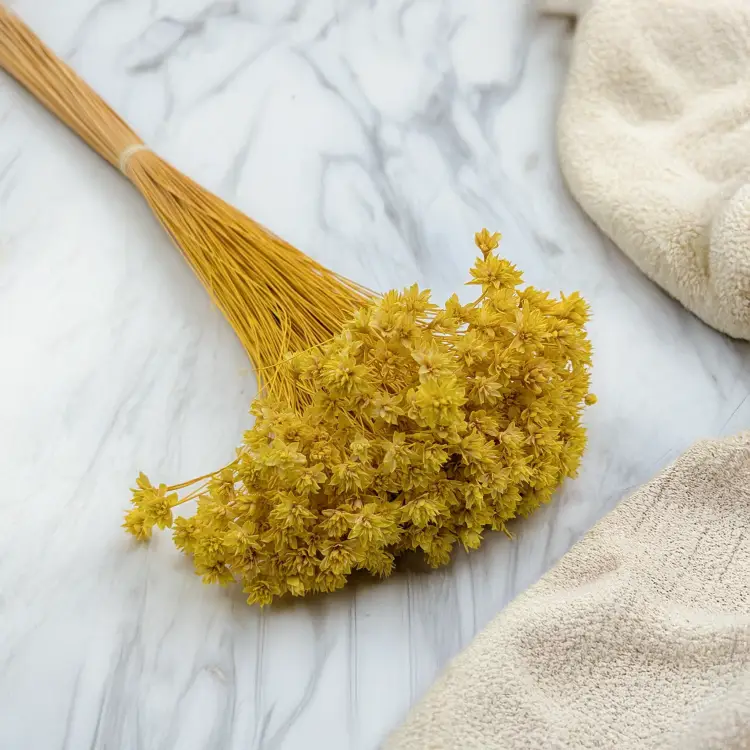 Hill Flower żółty 1.png