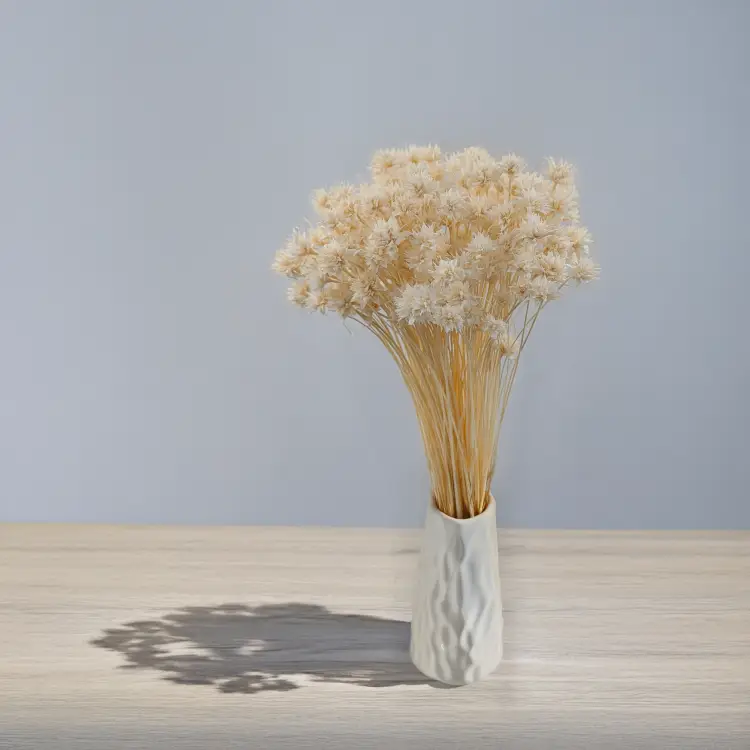 Hill Flower bielony 3.png