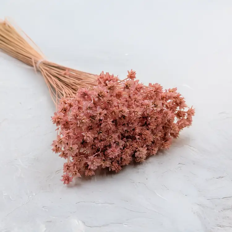 Hill Flower różowy.png