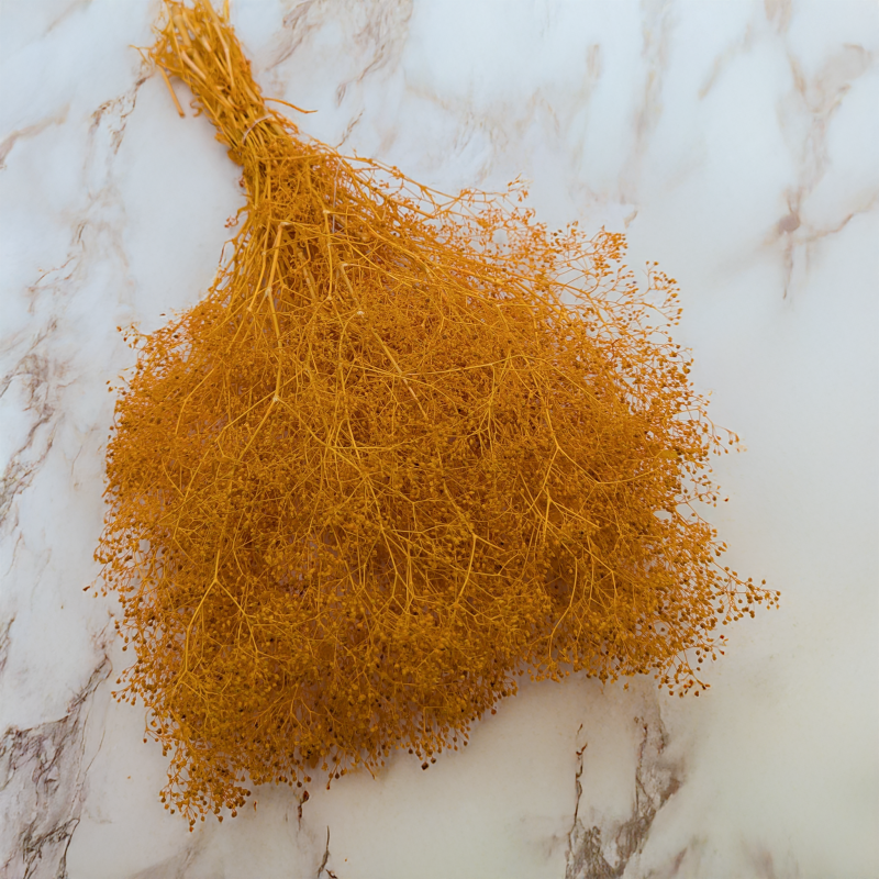 Gipsówka stabilizowana mini Ochra 1.png