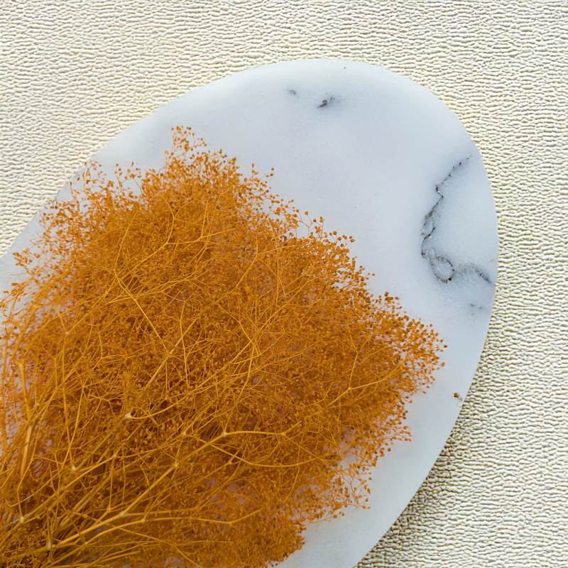 Gipsówka stabilizowana mini Ochra 2.png