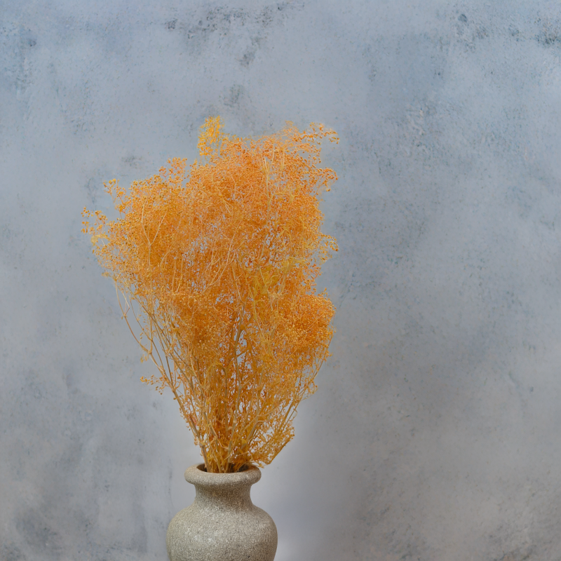 Gipsówka stabilizowana mini Brzoskwinia 4.png