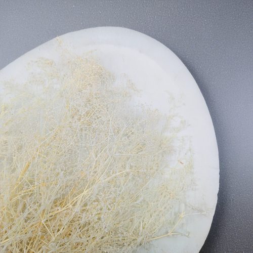 Gipsówka stabilizowana mini Bielona 2.png