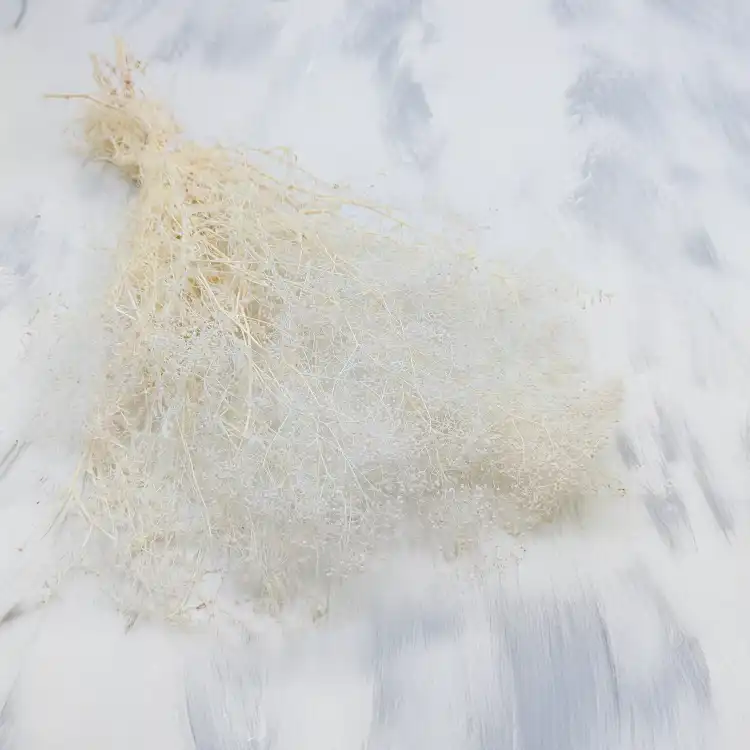 Gipsówka stabilizowana mini Bielona.png
