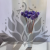 Craspedia lawendowa IT 3.png