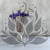 Craspedia lawendowa IT 4.png