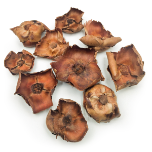 Palm Cup Naturel – Lot de 10 pièces