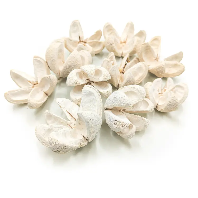 Wild Orange Bielone 10pcs 1.png