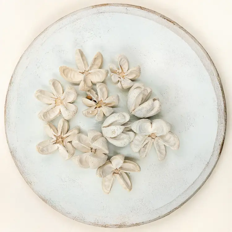 Wild Orange Bielone 10pcs 3.png