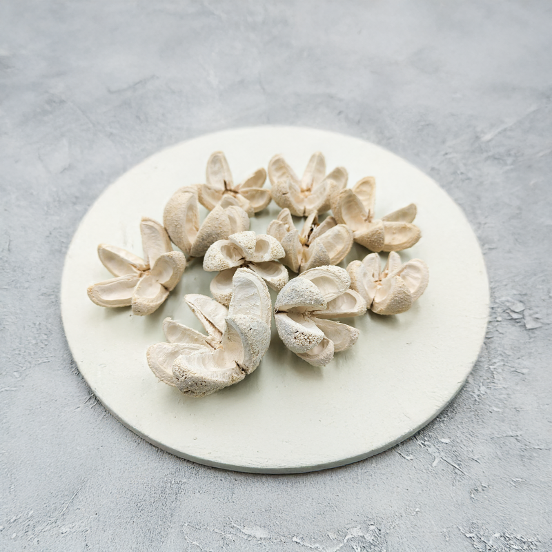 Wild Orange Bielone 10pcs.png