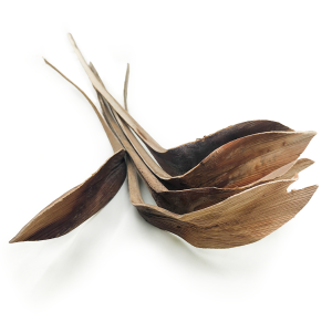 Shoe Horn – Naturel – Lot de 5 pièces