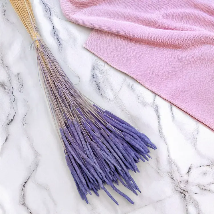 Tymotka - lawendowa 1.png