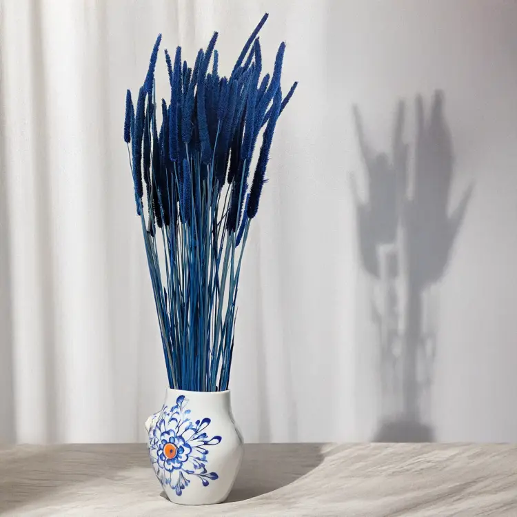 Tymotka - niebieska 4.png