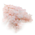 Ming Fern Asparagus Stabilizowany rózowy.png
