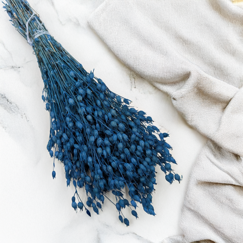 Silene niebieskie 1.png