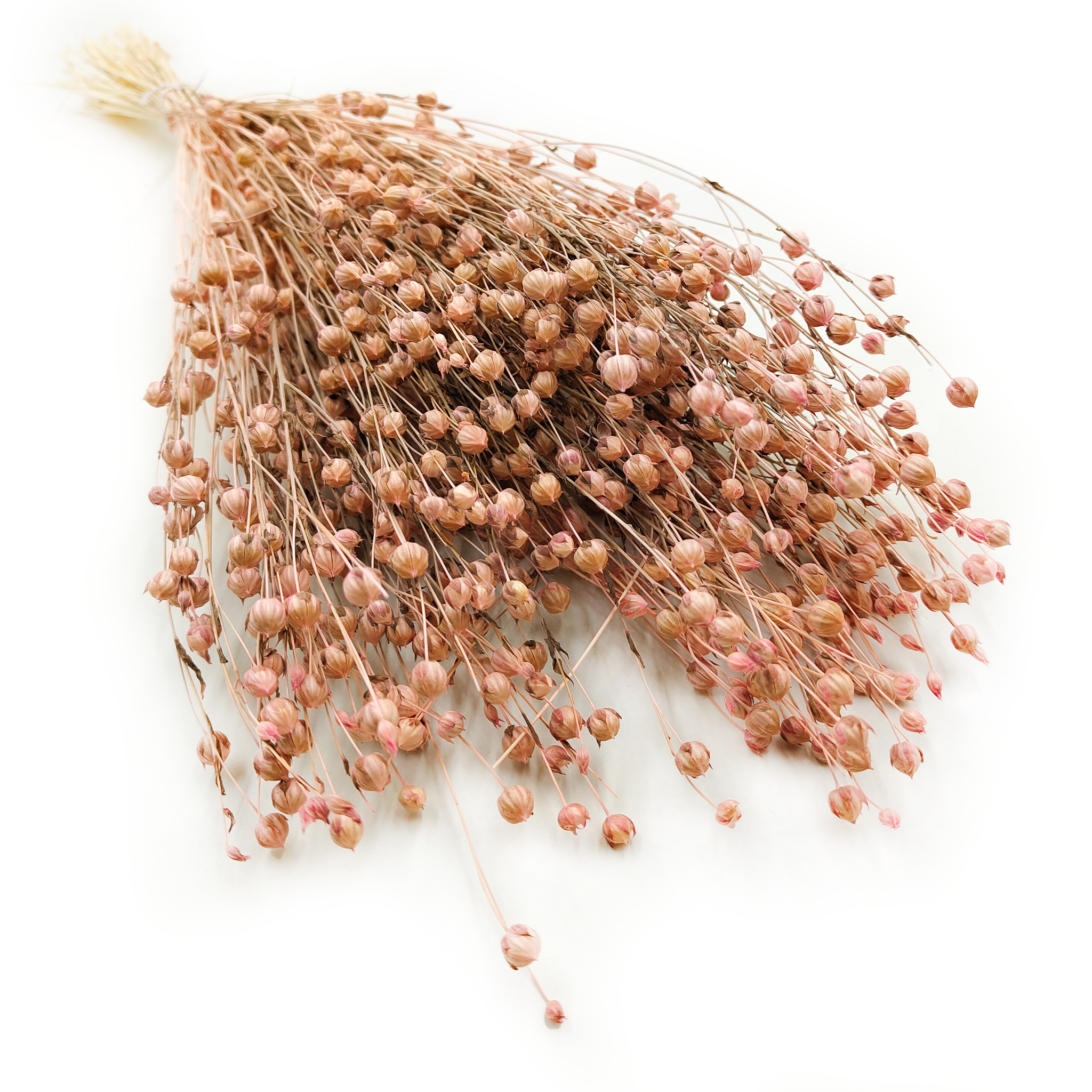 Lin Séché – Rose Pâle