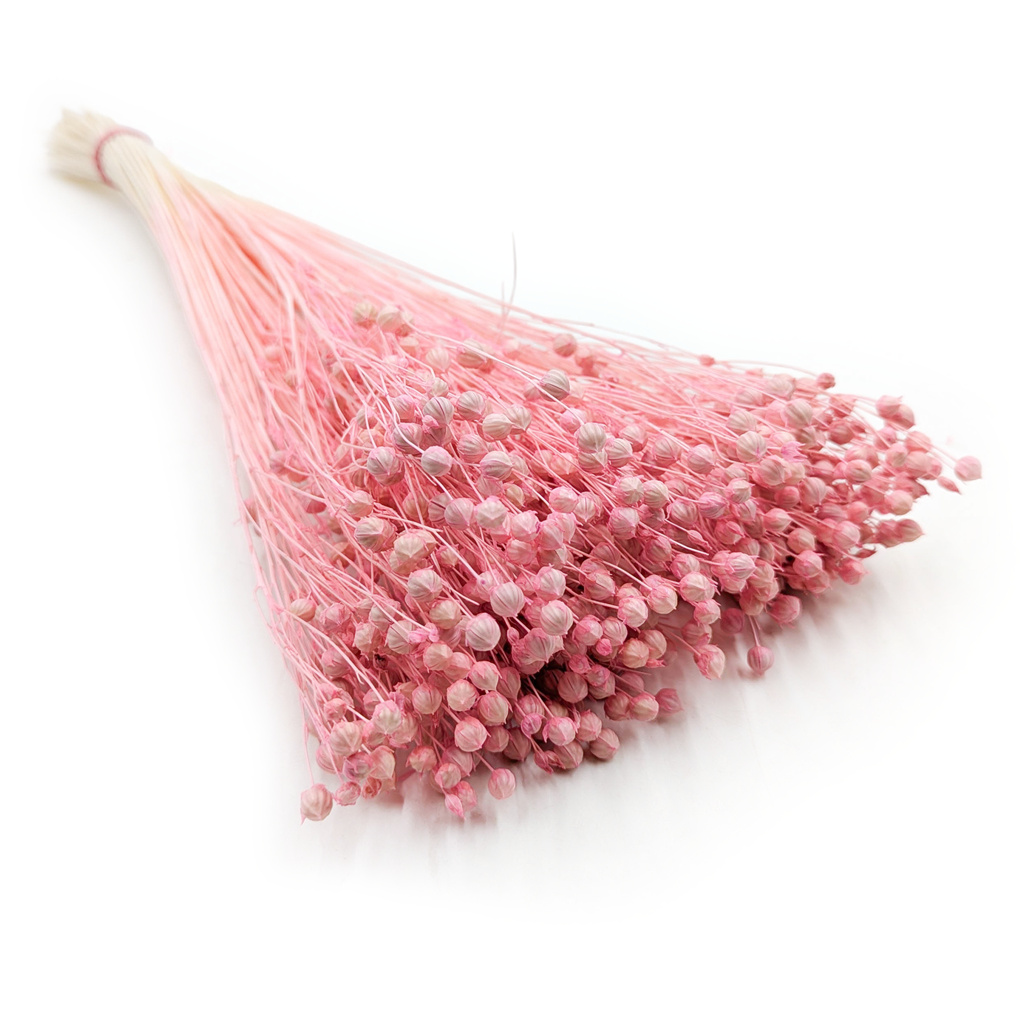 Lin Séché – Rose Clair