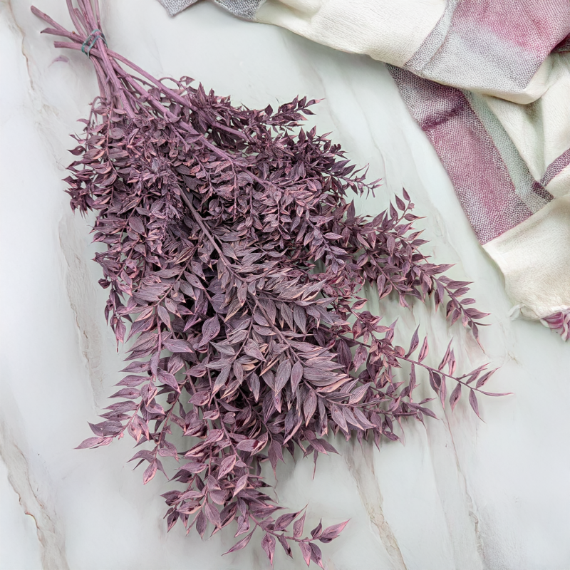 Ruskus bielony fioletowy 1.png