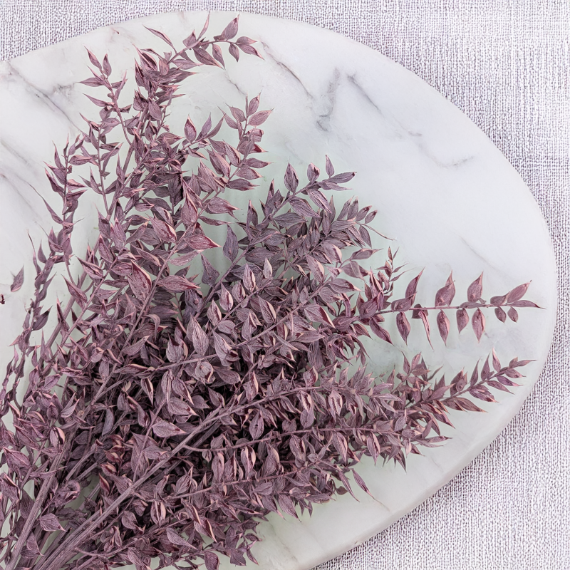 Ruskus bielony fioletowy 2.png