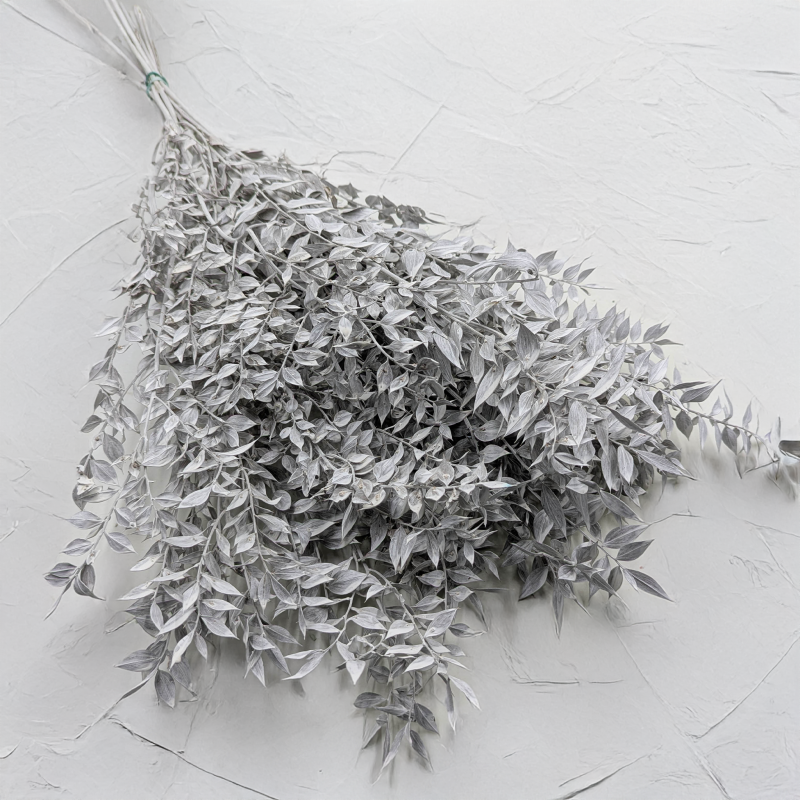 Ruskus bielony matowy.png