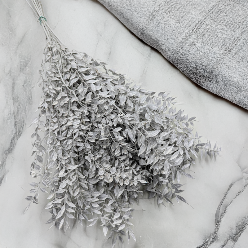 Ruskus bielony matowy 1.png