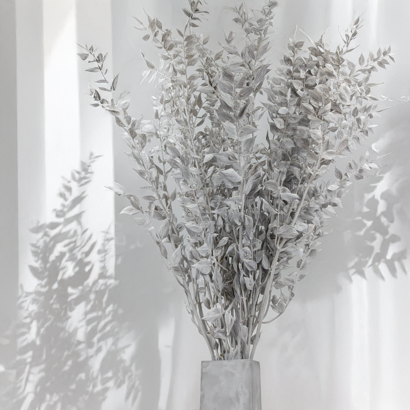 Ruskus bielony matowy 5.png