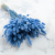 Lagurus Azzurro.png