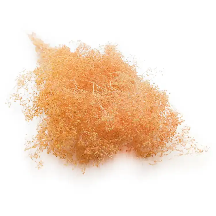 Gips Mini Brzoskwiniowa.png