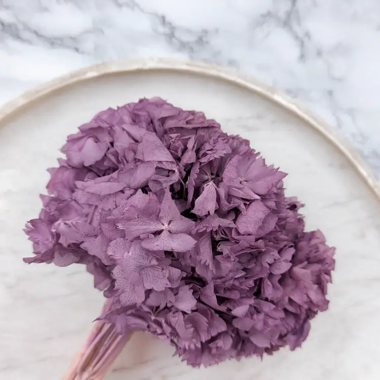 Hortensja stabilizowana fioletowa 1.png