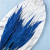 Mini pampas niebieski 3.png