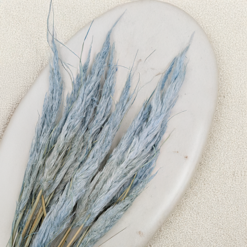 Mini pampas jasny niebieski 2.png