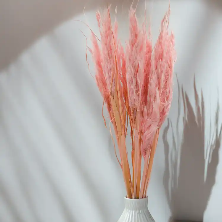 Mini pampas różowy perłowy 3.png