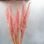 Mini pampas różowy perłowy 4.png