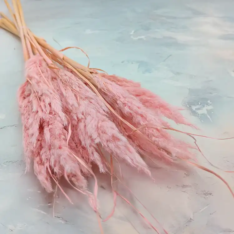 Mini pampas różowy perłowy.png